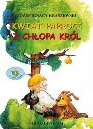 Okładka: Józef Ignacy Kraszewski - Kwiat paproci. Z chłopa król