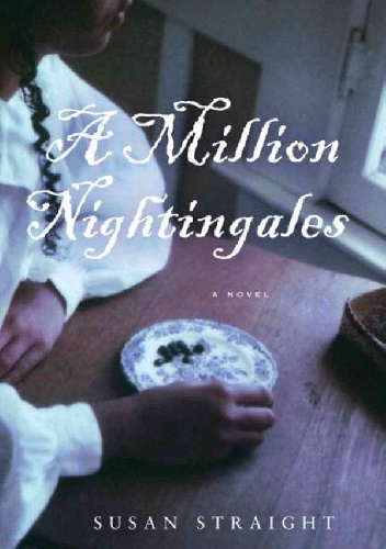 Okładka: Susan Straight - A Million Nightingales
