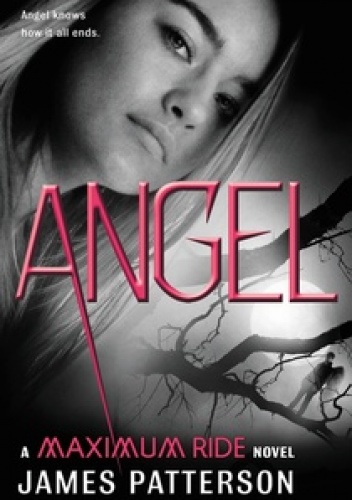 Okładka: James Patterson - Angel