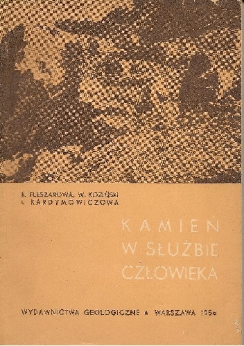 Okładka: Regina Fleszarowa - Kamień w służbie człowieka