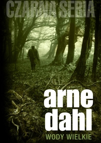Okładka: Arne Dahl - Wody wielkie