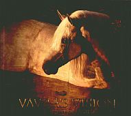 Okładka:  praca zbiorowa - Vavra&amp;s Vision. Equine Images