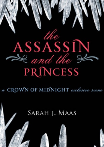 Okładka: Sarah J. Maas - The Assassin and the Princess