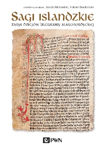 Okładka: Jakub Morawiec - Sagi islandzkie. Zarys dziejów literatury staronordyckiej