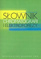 Okładka: Zygfryd Witkiewicz - Słownik chromatografii i elektroforezy