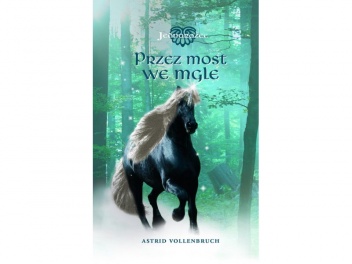 Okładka: Astrid Vollenbruch - Przez most we mgle