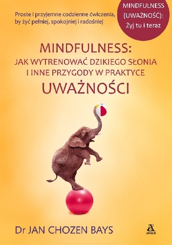 Okładka: Jan Chozen Bays - Mindfulness: Jak wytrenować dzikiego słonia i inne przygody w praktyce uważności