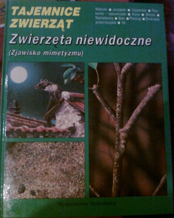 Okładka: Michel Cuisin - Zwierzęta niewidoczne (zjawisko mimetyzmu)