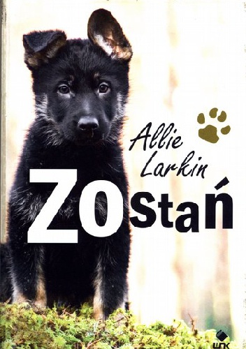 Okładka: Allie Larkin - Zostań