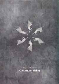 Okładka: Małgorzata Południak - Czekając na Malinę