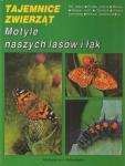 Okładka: Adam Malkiewicz - Motyle naszych lasów i łąk