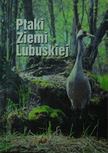 Okładka: Andrzej Jermaczek - Ptaki Ziemi Lubuskiej. Monografia faunistyczna