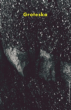 Okładka: Aron Guriewicz - Groteska