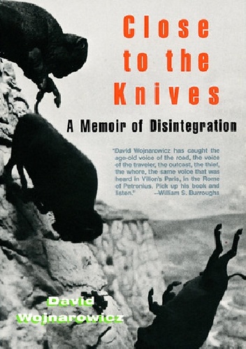 Okładka: David Wojnarowicz - Close to the Knives: A Memoir of Disintegration