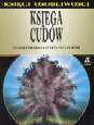Okładka: Stuart Gordon - Księga cudów