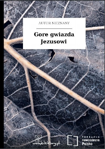 Okładka:  autor nieznany - Gore gwiazda Jezusowi