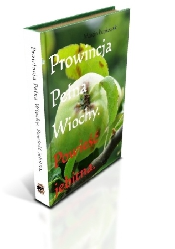 Okładka: Marcin Łupkowski - Prowincja Pełna Wiochy. Powieść jebitna