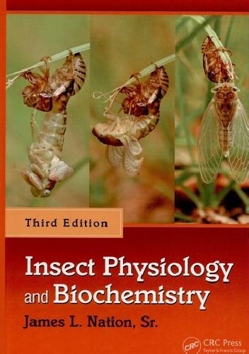 Okładka: James L. Nation - Insect physiology and biochemistry