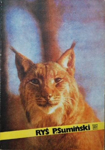 Okładka: Piotr Sumiński - Ryś