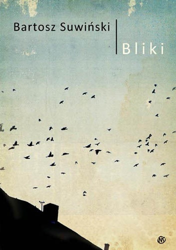 Okładka: Bartosz Suwiński - Bliki