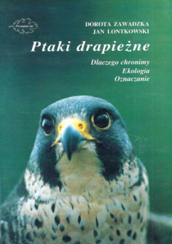 Okładka: Dorota Zawadzka - Ptaki drapieżne. Dlaczego chronimy, ekologia, oznaczanie