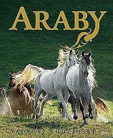 Okładka: Tadeusz Budziński - Araby. Dzieci Wiatru