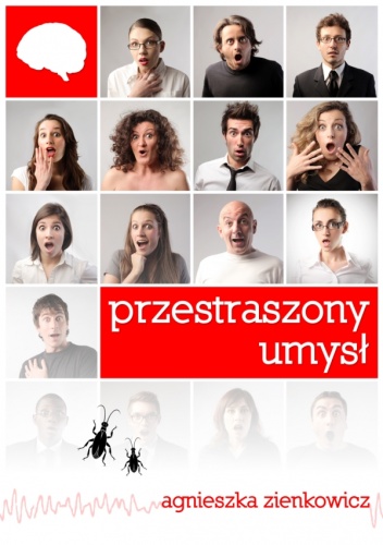 Okładka: Agnieszka Zienkowicz - Przestraszony umysł