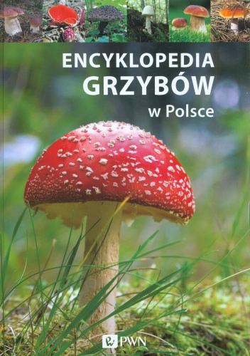 Okładka: Katarzyna Kucharczuk - Encyklopedia grzybów w Polsce