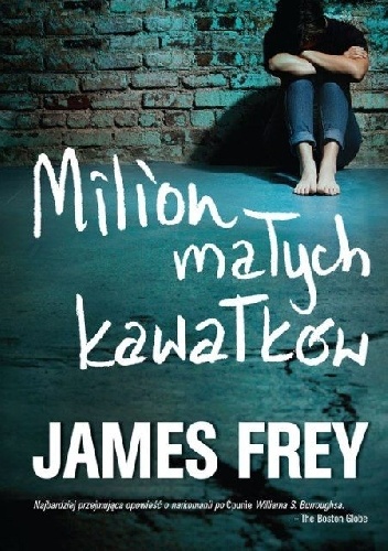 Okładka: James Frey - Milion małych kawałków
