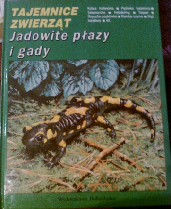 Okładka: Andrzej Jabłoński - Jadowite płazy i gady