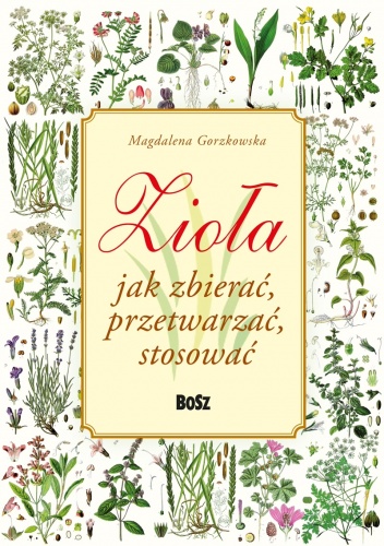 Okładka: Magdalena Gorzkowska - Zioła. Jak zbierać, przetwarzać, stosować