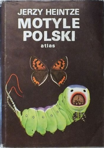 Okładka: Jerzy Heintze - Motyle Polski