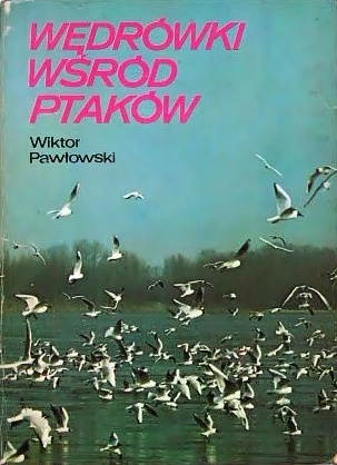 Okładka: Wiktor Pawłowski - Wędrówki wśród ptaków