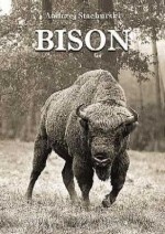 Okładka: Andrzej Stachurski - Bison