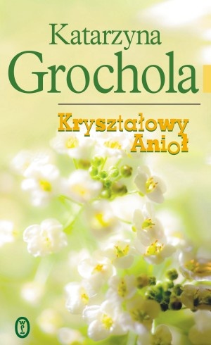 Okładka: Katarzyna Grochola - Kryształowy Anioł
