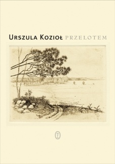 Okładka: Urszula Kozioł - Przelotem