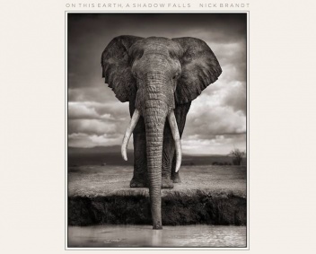 Okładka: Nick Brandt - On This Earth - A Shadow Falls
