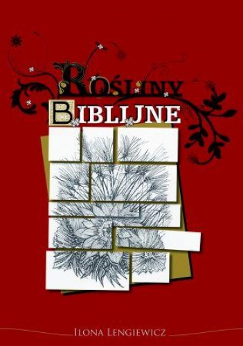 Okładka: Ilona Wiktoria Lengiewicz - Rośliny biblijne