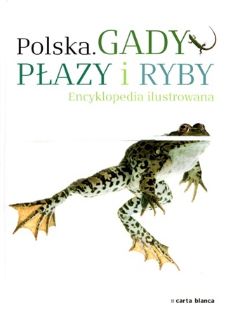 Okładka: Michał Grabowski - Gady, płazy i ryby. Encyklopedia ilustrowana