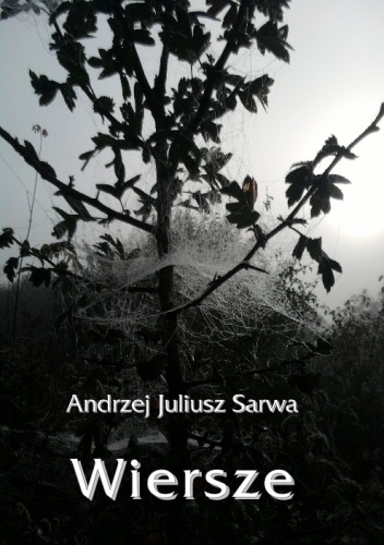 Okładka: Andrzej Juliusz Sarwa - Wiersze