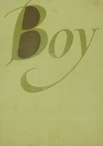 Okładka:  - Tadeusz Żeleński (Boy). Twórczość i życie