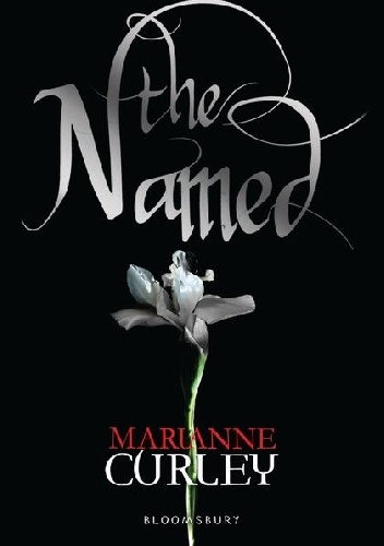 Okładka: Marianne Curley - The Named