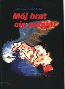 Okładka: Tadeusz Olszański - Mój brat cię zabije! O wojnie w Jugosławii