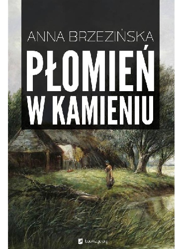 Okładka: Anna Brzezińska - Płomień w kamieniu