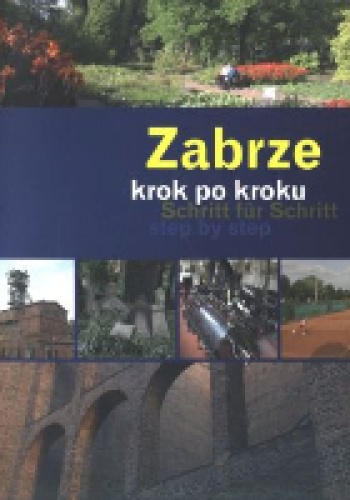 Okładka: Dariusz Walerjański - Zabrze krok po kroku