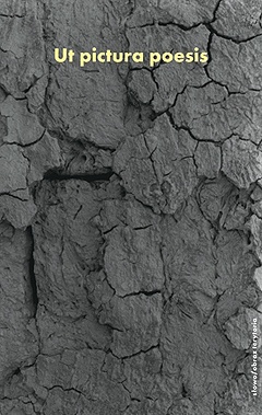 Okładka: Marek Skwara - Ut pictura poesis