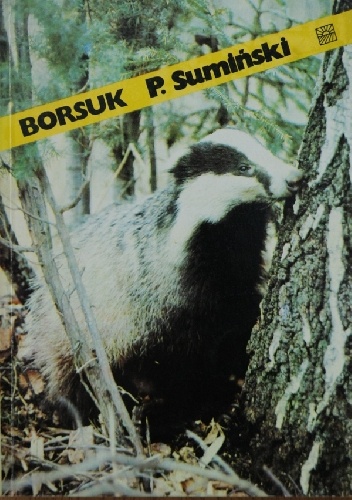 Okładka: Piotr Sumiński - Borsuk