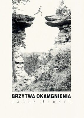 Okładka: Jacek Dehnel - Brzytwa okamgnienia