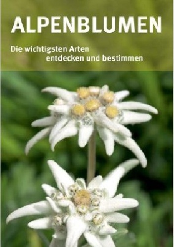 Okładka: Helga Hofmann - Alpenblumen. Die wichtigsten Arten entdecken und bestimmen