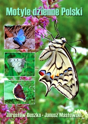 Okładka: Jarosław Buszko - Motyle dzienne Polski. Lepidoptera: Hesperioidea, Papilionoidea